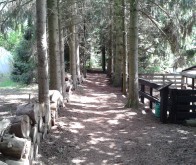 Sfeerimpressie camping - Camping &rsquo;t Haldert